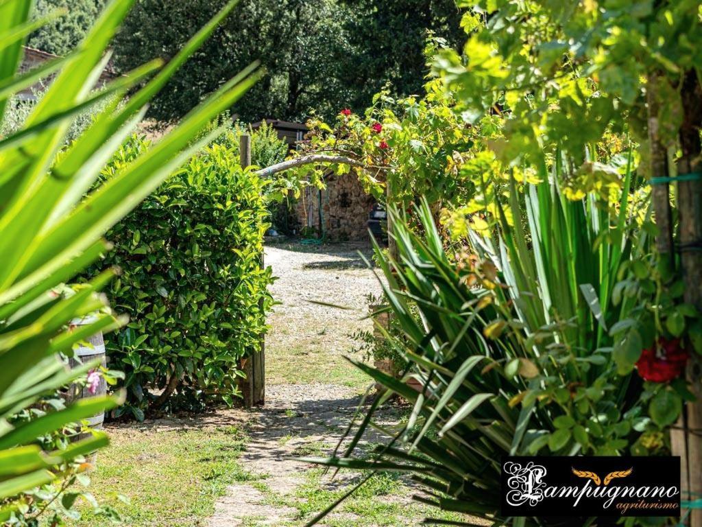 Agriturismo Lampugnano Паганико Экстерьер фото